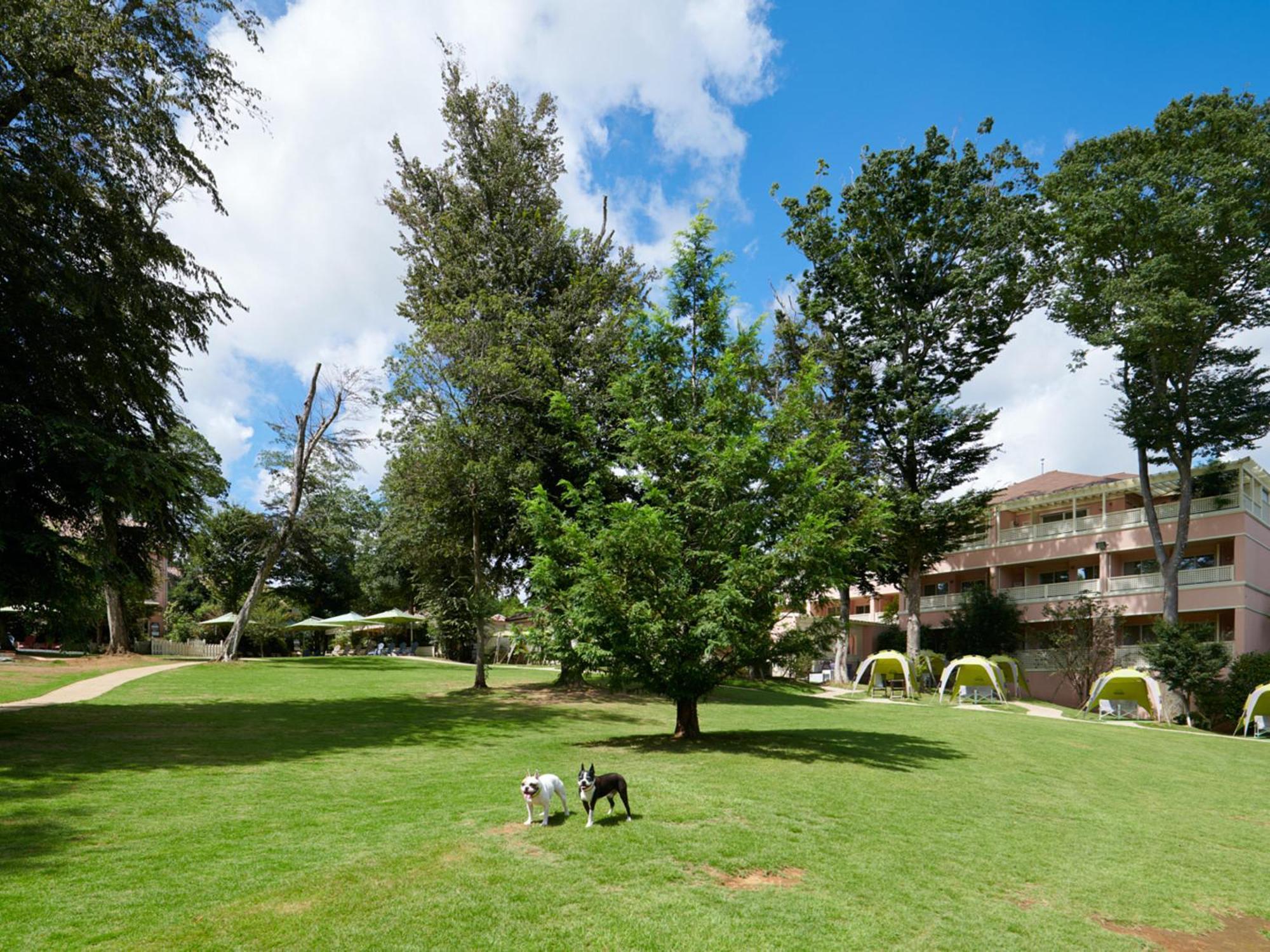 Koyaru-No-Sato Doggys Island Hotel Yachimata Exterior photo